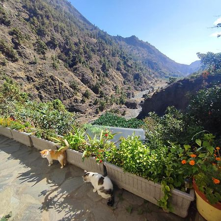 Rivendell Eco Lodge إل باسو المظهر الخارجي الصورة